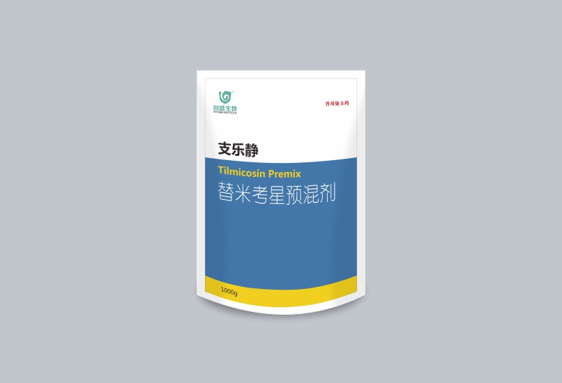 支乐静